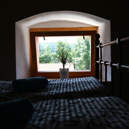 Zamek Liboun Hotel Louňovice pod Blaníkem Екстериор снимка