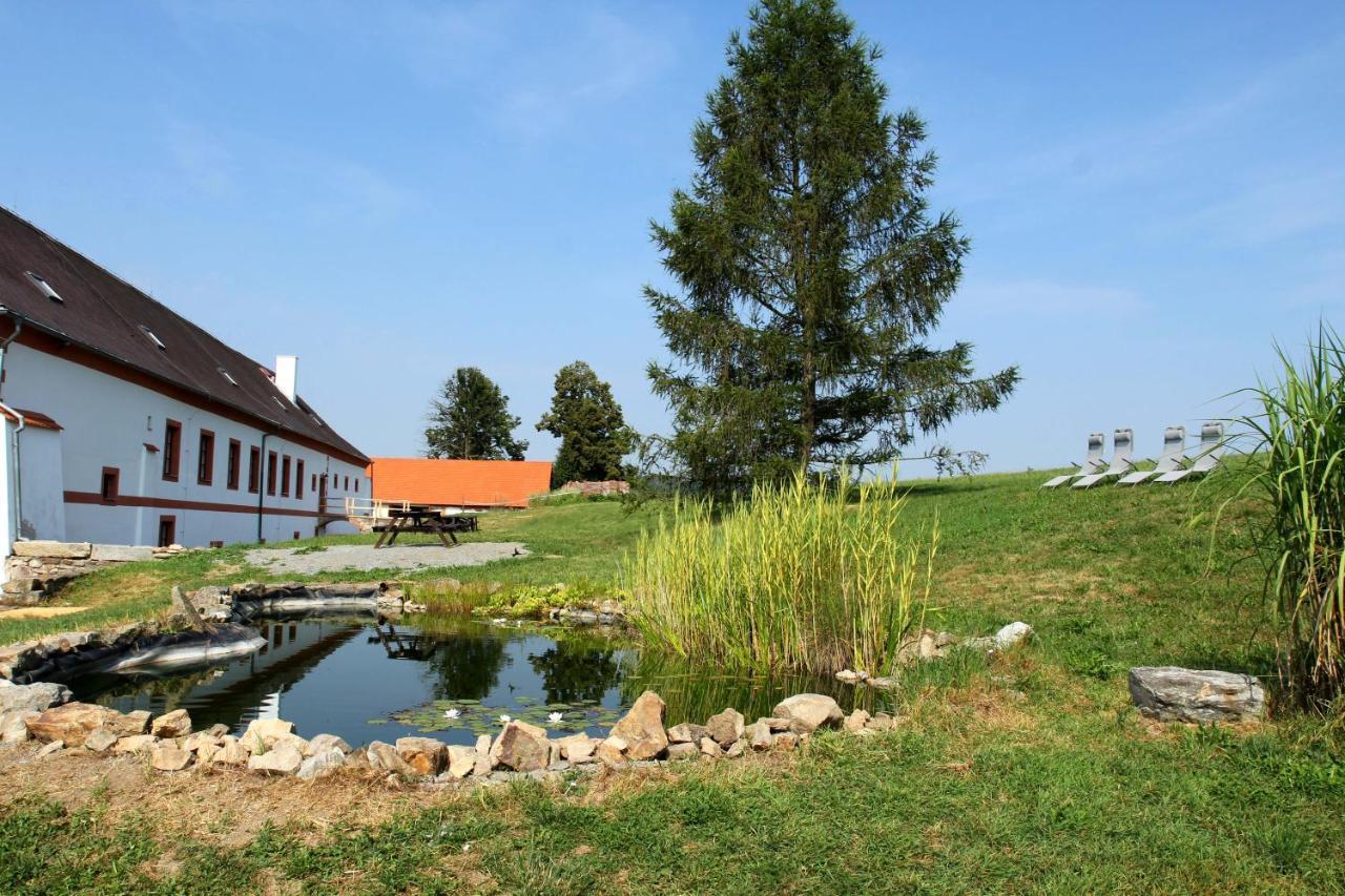 Zamek Liboun Hotel Louňovice pod Blaníkem Екстериор снимка